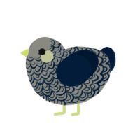 (unnamed), a ash and tumblr chicken with a double-lace pattern