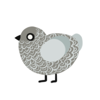 Hades, a ash and silver chicken with a double-lace pattern