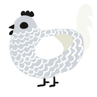 A mist and white chicken with a lace pattern