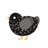 (unnamed), a sable and grey chicken with a speckle pattern