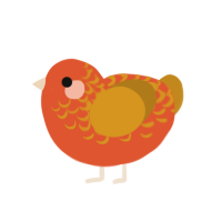 Citrus, a vermilion and ochre chicken with a half-lace pattern