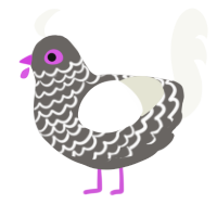 (unnamed), a grey and white chicken with a lace pattern