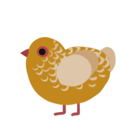 Saffron, a ochre and beige chicken with a half-lace pattern