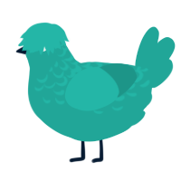 Grace, a turquoise chicken with a half-lace pattern