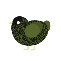 (unnamed), a black and olive chicken with a double-lace pattern