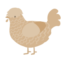 ciabatta, a beige chicken with a lace pattern