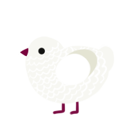 xxy, a white chicken with a lace pattern