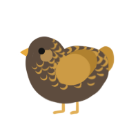 (unnamed), a bark and gold chicken with a half-lace pattern