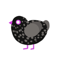 (unnamed), a black and grey chicken with a speckle pattern