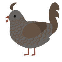 A grey and bark chicken with a lace pattern