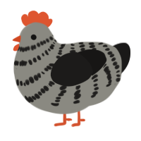 A ash and sable chicken with a bar pattern