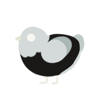 filmboy, a sable and silver chicken with a head pattern