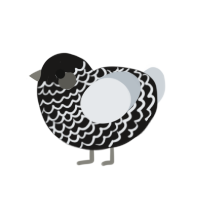 GrimMon, a sable and mist chicken with a lace pattern