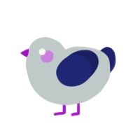 Sock, a silver and navy chicken