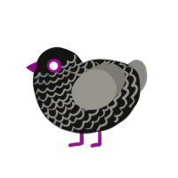 (unnamed), a black and ash chicken with a lace pattern