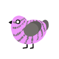 (unnamed), a lavender and grey chicken with a bar pattern