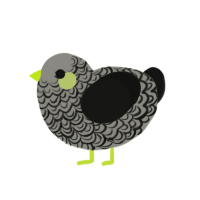 (unnamed), a ash and black chicken with a double-lace pattern