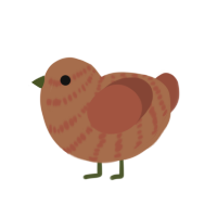 (unnamed), a brown and russet chicken with a bar pattern