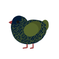 (unnamed), a tumblr and olive chicken with a double-lace pattern