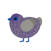 (unnamed), a overcast and ash chicken with a double-lace pattern