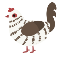 A white and bark chicken with a bar pattern