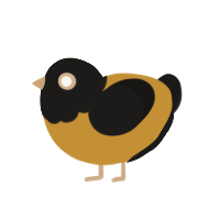 (unnamed), a gold and sable chicken with a head pattern