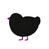 VOID VOID VOID, a black chicken