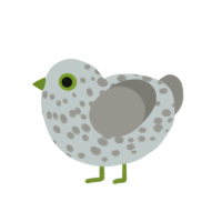 Chickers, a silver and ash chicken with a speckle pattern