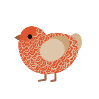 Salmon, a vermilion and beige chicken with a double-lace pattern