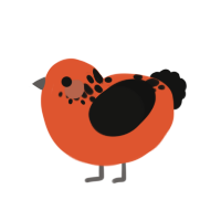 Precious, a vermilion and black chicken with a neck-speckle pattern