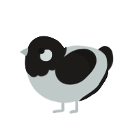 Soot, a silver and sable chicken with a head pattern