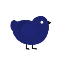 Delphi, a navy chicken with a bar pattern