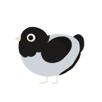 OREO, a mist and sable chicken with a head pattern