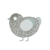 Silver, a ash and silver chicken with a double-lace pattern