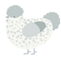 Spotted Puffball, a white and silver chicken with a speckle pattern