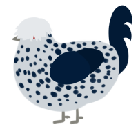 Baby Dracula, a mist and tumblr chicken with a speckle pattern