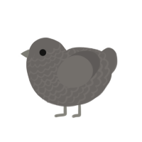 Gloomy, a grey chicken with a lace pattern