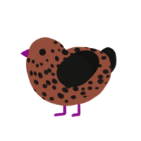 Robin, a russet and black chicken with a speckle pattern