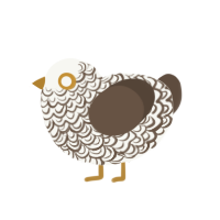 Toffee, a white and bark chicken with a double-lace pattern