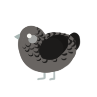 (unnamed), a grey and sable chicken with a half-lace pattern