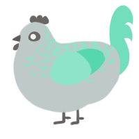 Baja, a silver and mint chicken with a speckle pattern