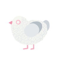 Blush, a white and mist chicken with a double-lace pattern