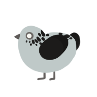 Asteroid, a silver and sable chicken with a neck-speckle pattern