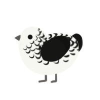 Yoinkidink, a white and black chicken with a half-lace pattern