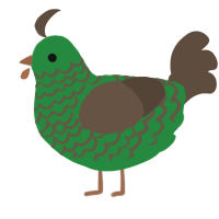 (unnamed), a viridian and bark chicken with a lace pattern