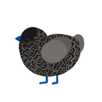 Finality, a sable and grey chicken with a double-lace pattern