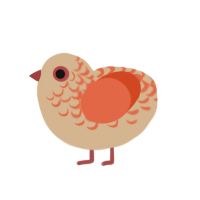 Cheeto fingers, a beige and vermilion chicken with a half-lace pattern