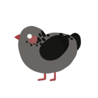 (unnamed), a grey and black chicken with a neck-speckle pattern