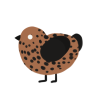 cookie, a brown and sable chicken with a speckle pattern