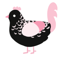 Teacup, a black and rose chicken with a half-lace pattern